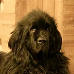 Bleu Ξενοδοχείο 3*