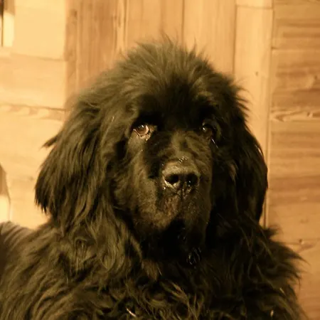 Bleu Готель 3*